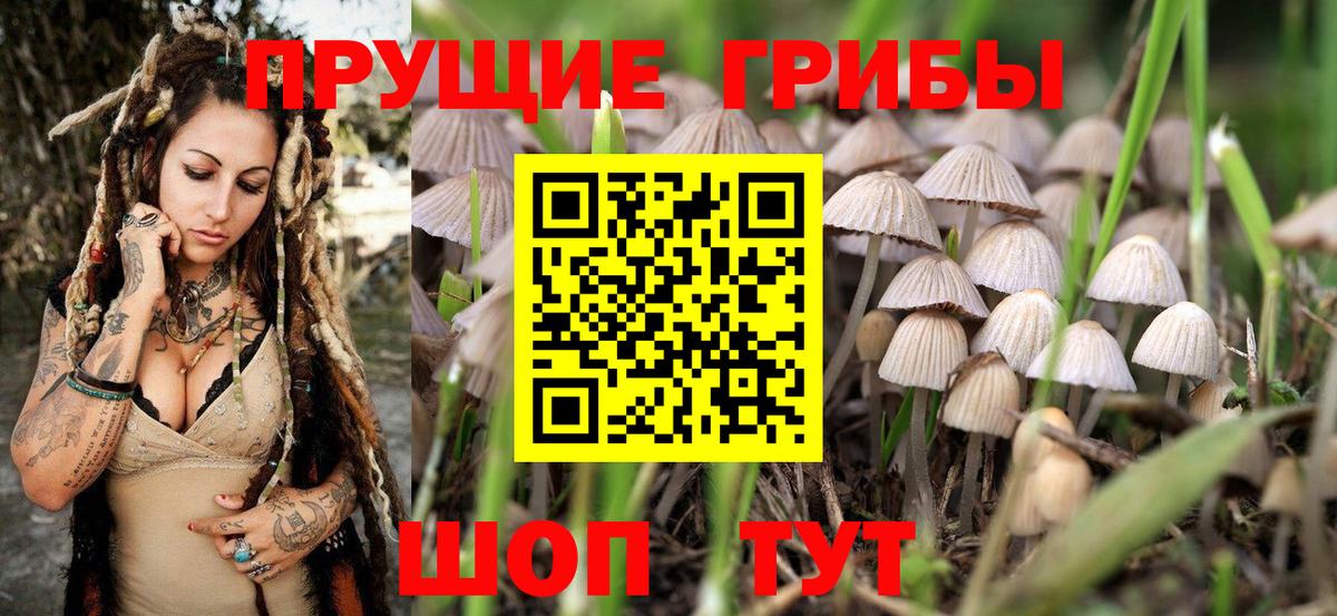 Строитель  Галлюциногенные грибы Magic Shrooms  Вход с VPN 